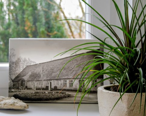 Fotos auf Leinwand, 
auf Plexiglas oder 
als gerahmte Bilder, 
in vielen Größen möglich und immer schön für ein individuelles Zuhause.